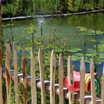 pond with fence