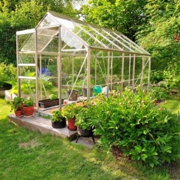 greenhouse in sun