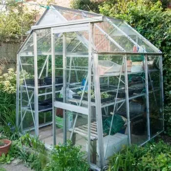 greenhouse door open for ventilation