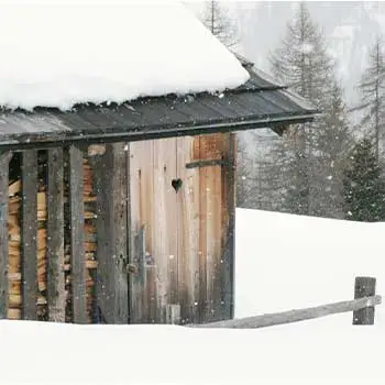 shed on a snow