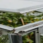 Do-Greenhouses-Need-Ventilation