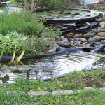 How-Small-Can-a-Garden-Pond-Be