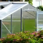 Are-Greenhouses-Worth-It