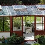 What-to-Grow-in-a-Greenhouse-in-Summer
