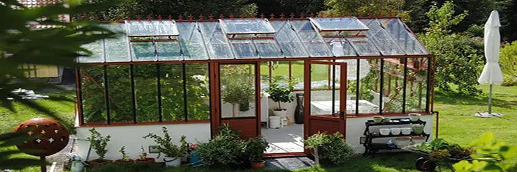 What to Grow in a Greenhouse in Summer