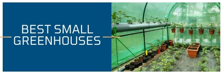Best small greenhouse