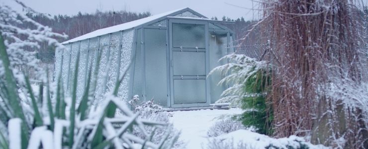 Does A Greenhouse Work In The Winter _ What’s Too Cold