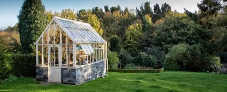 What To Grow In A Greenhouse In Summer